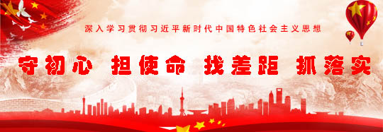 守初心担使命找差距抓落实